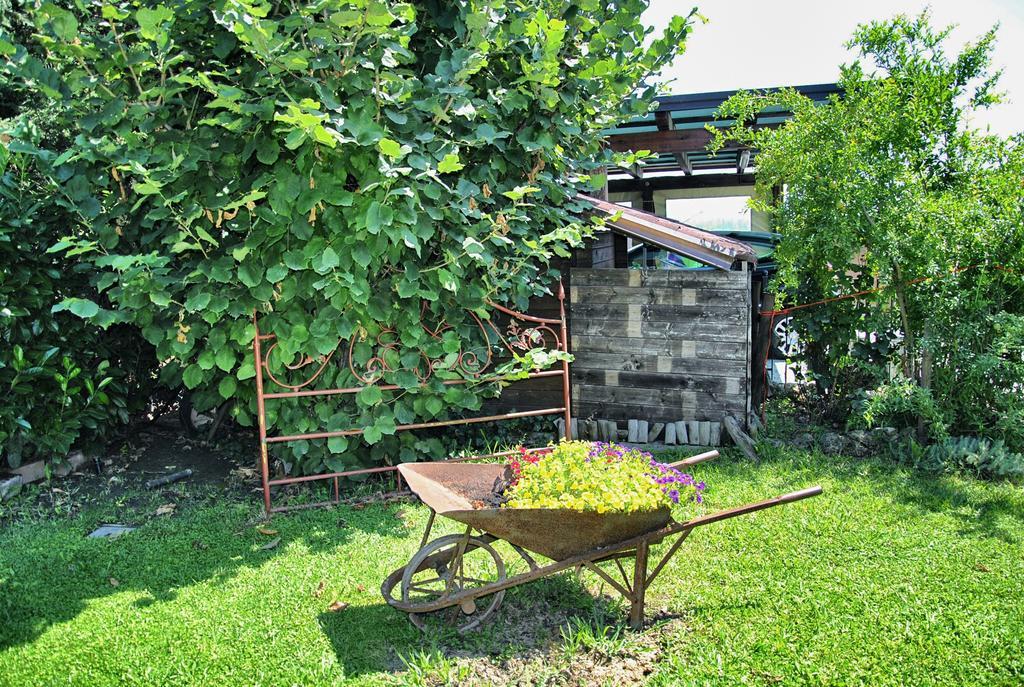 La Corte Del Macero Castelfranco Emilia Eksteriør bilde